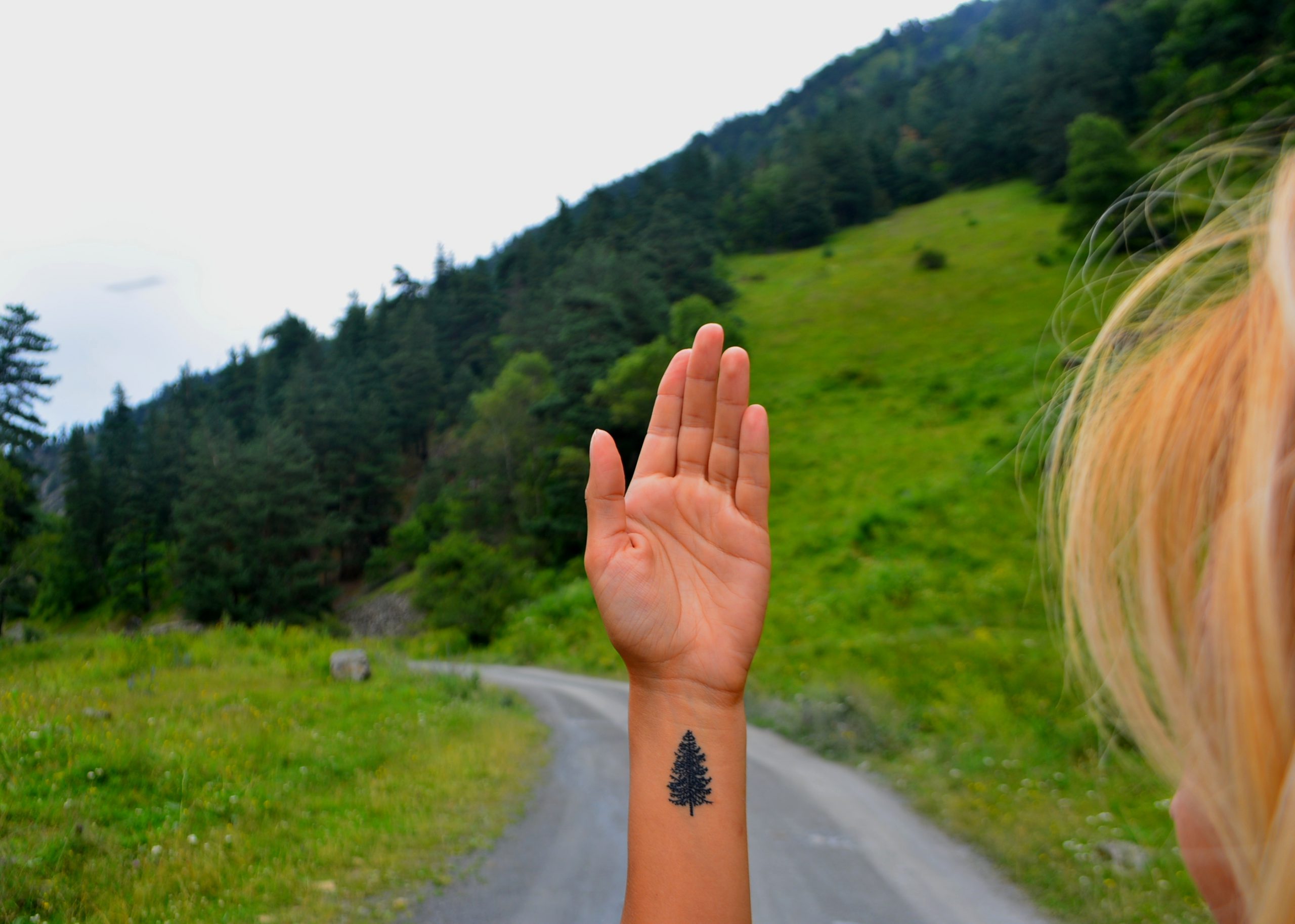 ????????????????????????????????????